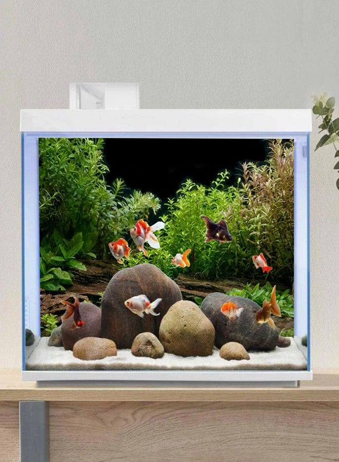 AWERT Aquarium Background River Bed & Lake Aquatic Plant Fish Tank Background Vinyl 30x18 inches - Image 4